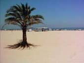 Gandia Beach